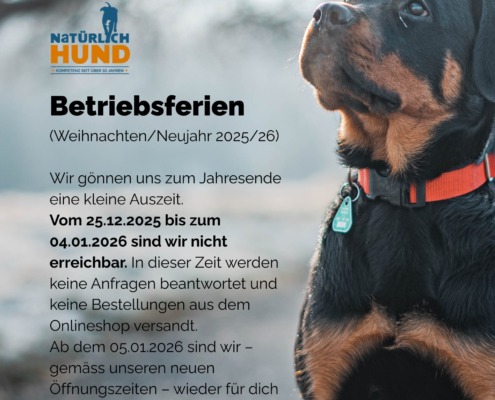 Betreibsferien (WeihnachtenNeujahr 202526)(1)
