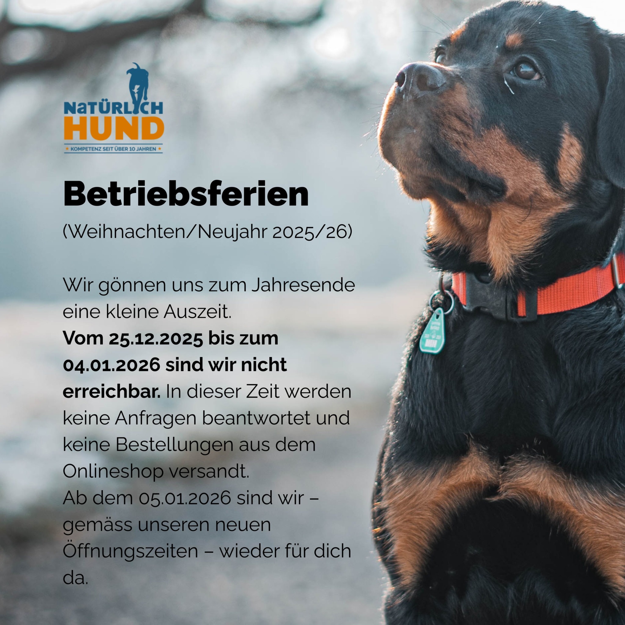 Betreibsferien (WeihnachtenNeujahr 202526)(1)