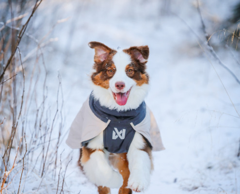 glacie-wool-jacket-3.0-grey-32609-32622-10-lifestyle