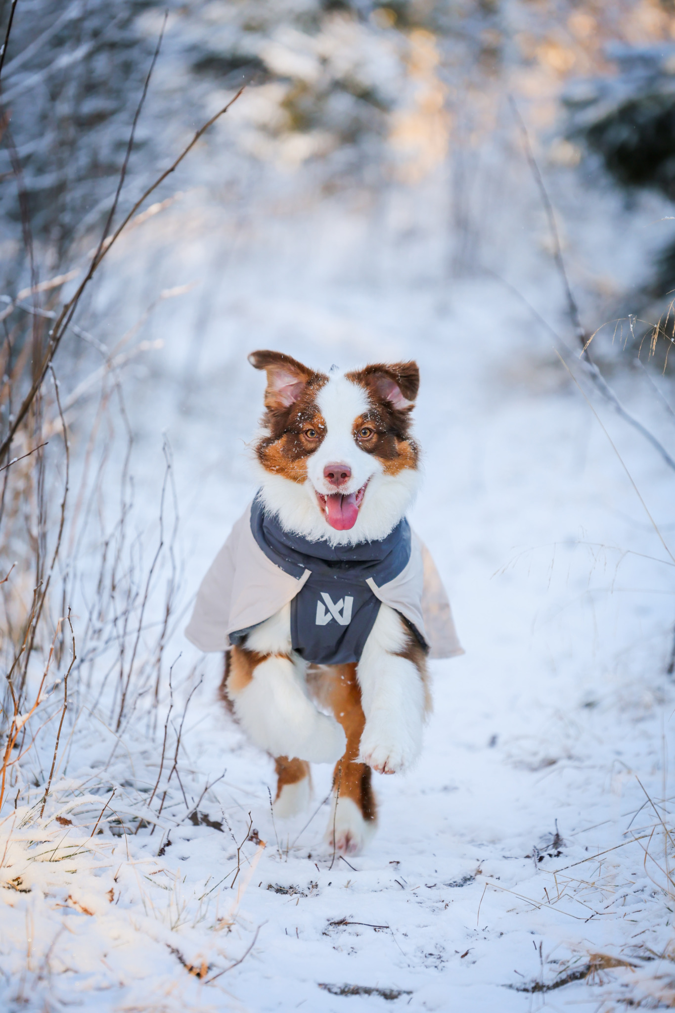 glacie-wool-jacket-3.0-grey-32609-32622-10-lifestyle