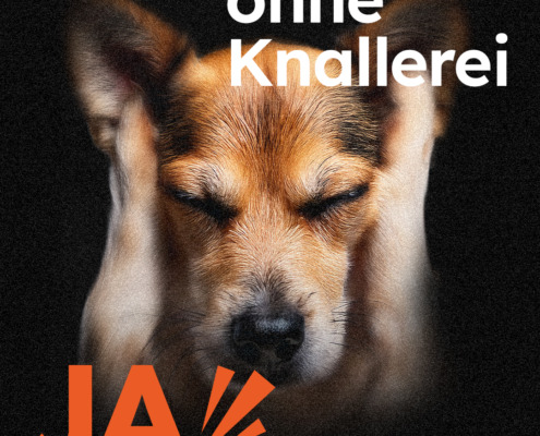 Feuerwerksinitiative_Keyvisuals_DE_1080x1350_Hund(1)