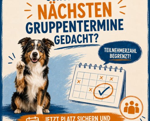 Quadratisch - Schon an die nächsten Gruppentermine gedacht